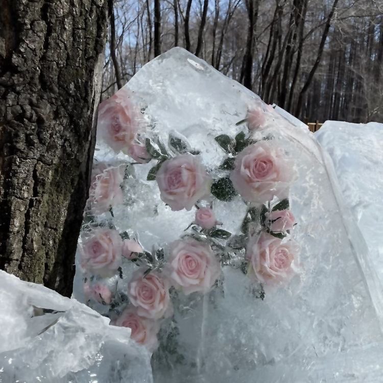 makingmaia's tweet photo. channeling divine feminine energy this season 🎀 https://t.co/veQZ2DW85v