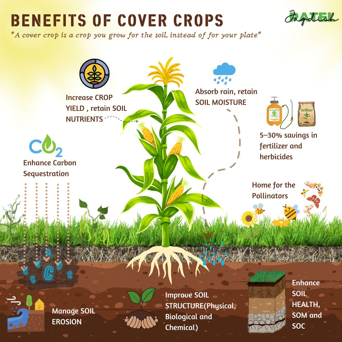 Karn Manhas tweet media