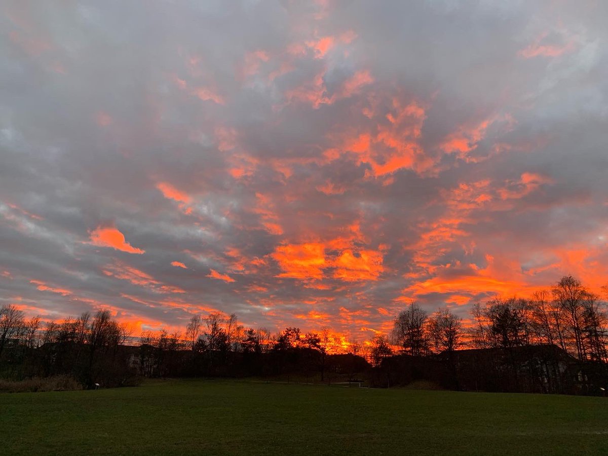 Flaming evening sky. Stunning sunset on my evening walk on Irchel Campus to the tram#evening @sciealumniUZH <a href="/UZH_Science/">UZH Science</a> <a href="/UZH_en/">University of Zurich</a> #sunset #dusk #universitätzürich #uzh #universitylife #nofilter