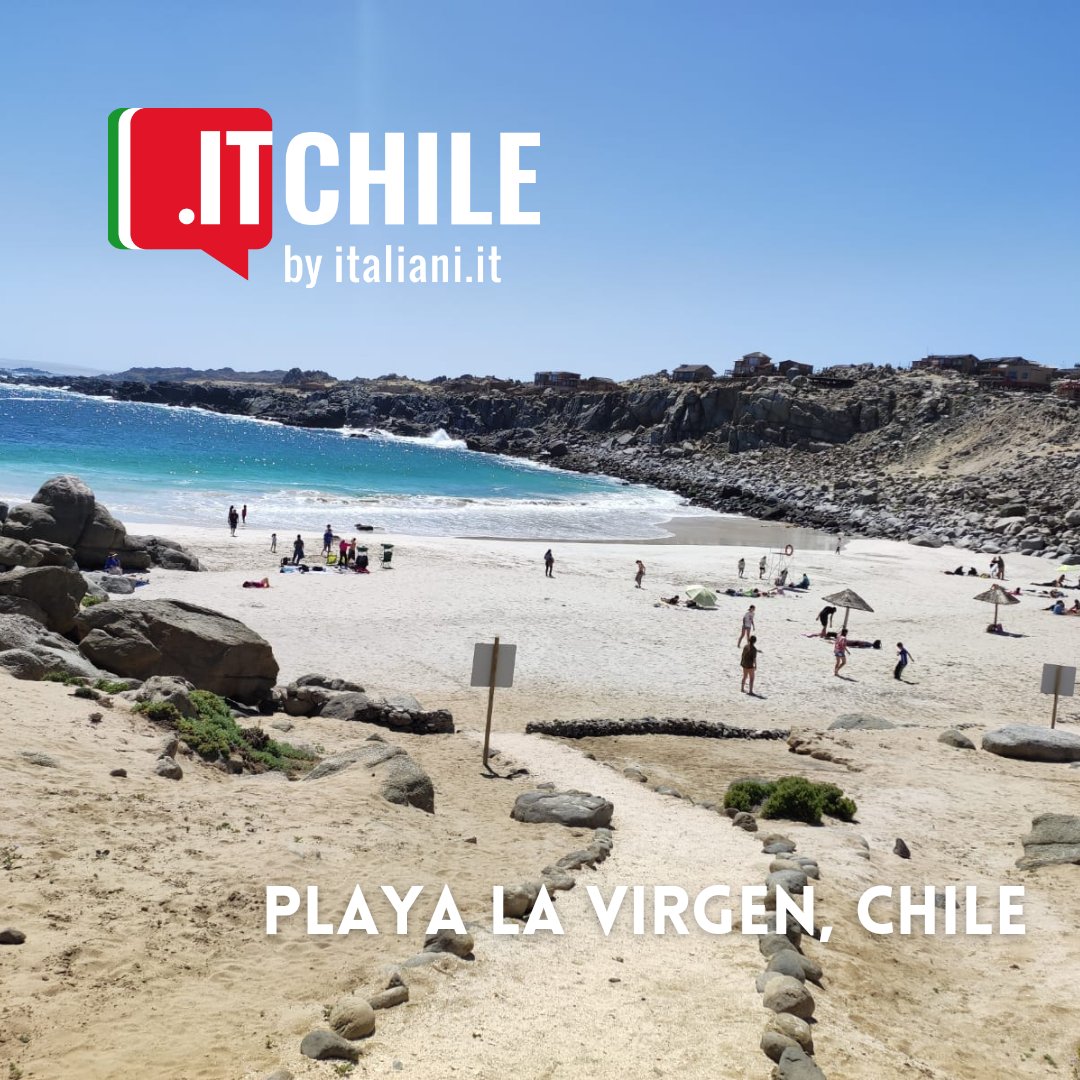 ItchileI's tweet photo. ¡Tenemos un bello país! 🇨🇱 Si no has visitado Playa La Virgen 😍 te invitamos a leer nuestra nota 👇🏻 https://t.co/TlxE5Lkui8
#Chile #paisajes #naturaleza #lugaresdechile #travel #viajes #conocechile #chilenosxelmundo #chile🇨🇱 #turismo #vacaciones #playas https://t.co/tqRsqXNB5A