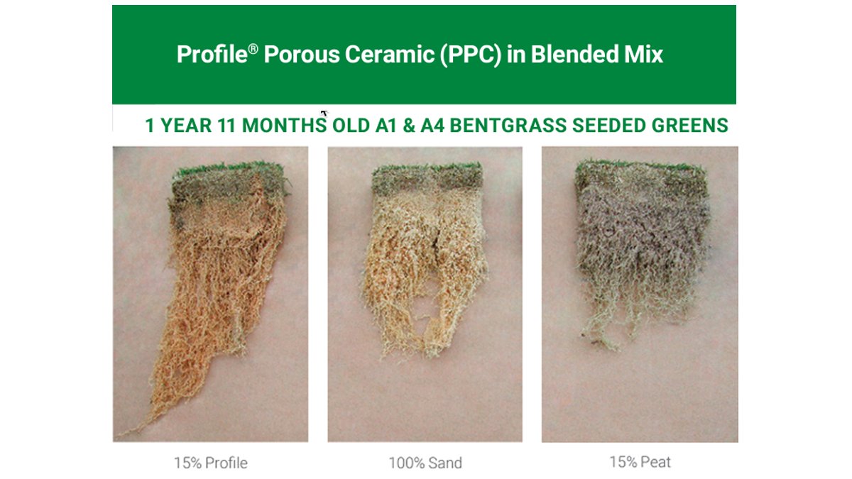 Profile Golf tweet media