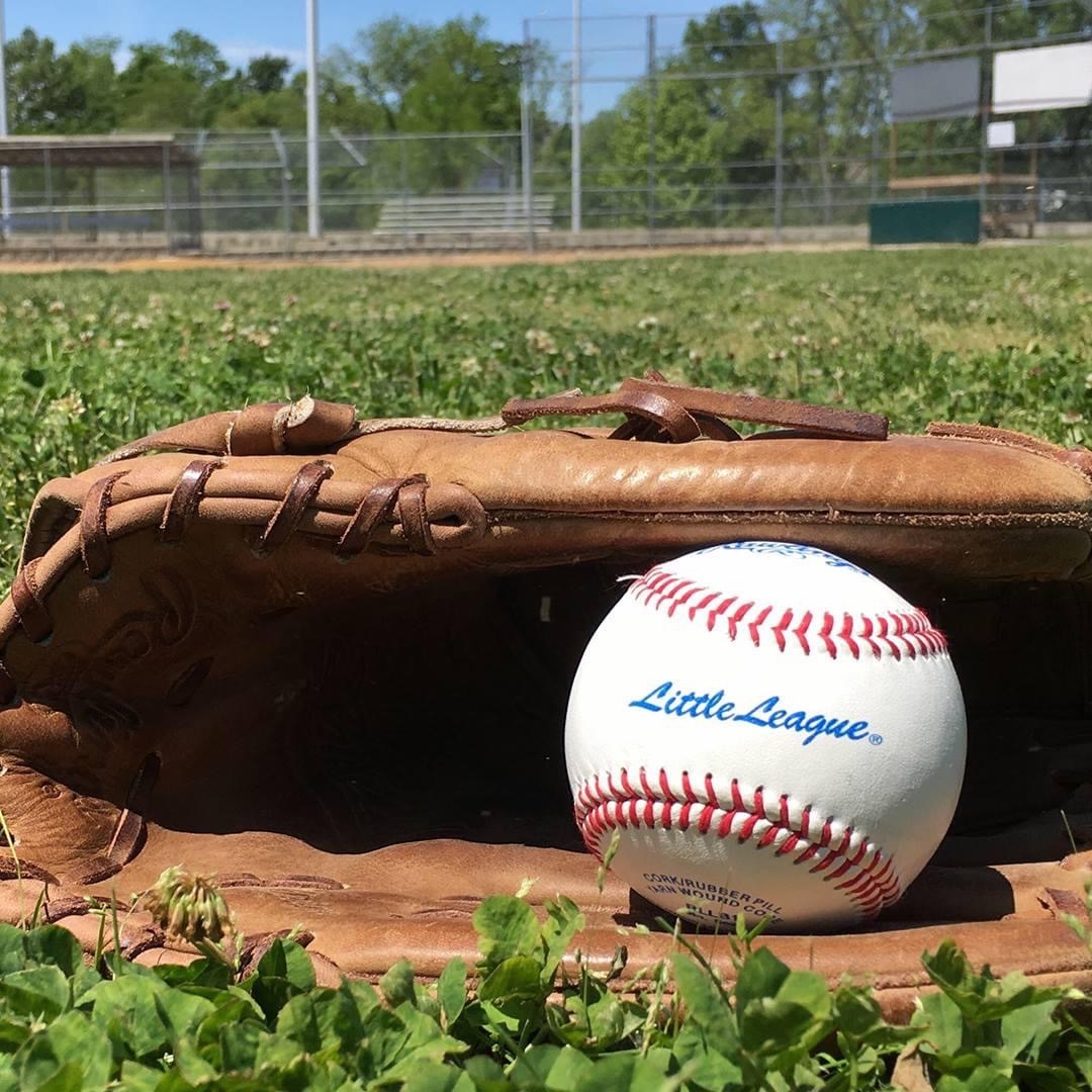 Daniel Boone Little League tweet media