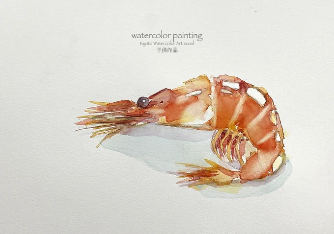 今日の授業から。K君9歳。プリプリ!#Watercolor #スケッチ #水彩画 #淡彩略画 #透明水彩 #京都水彩画塾  #水彩画ワークショップ  #水彩画教室  #京都の絵画教室  #2月25日〜画塾展覧会来てね 