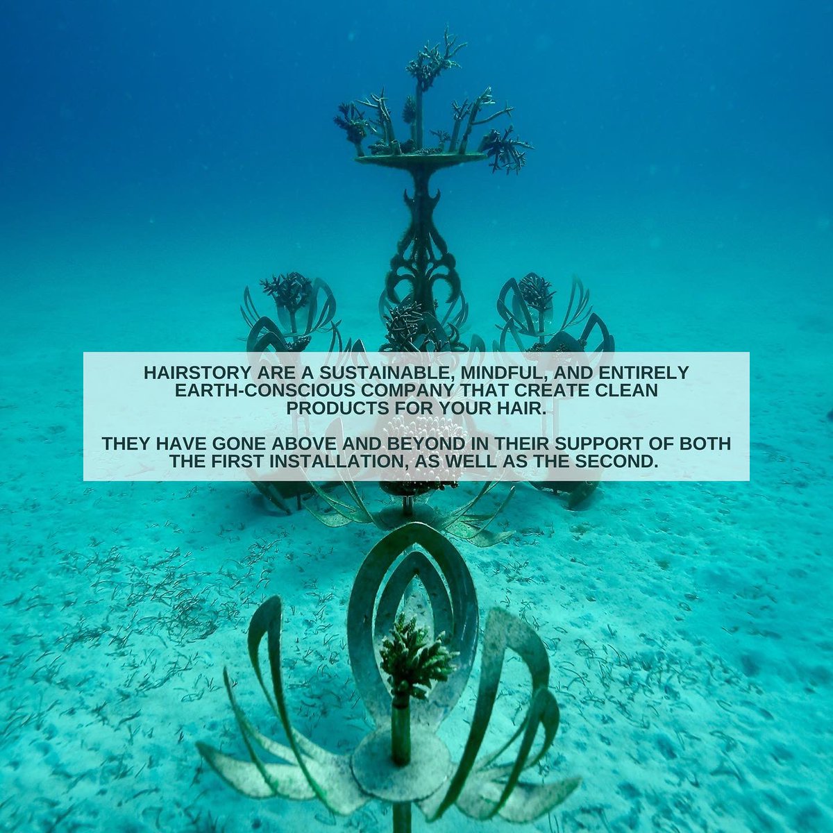 Counting Coral tweet media