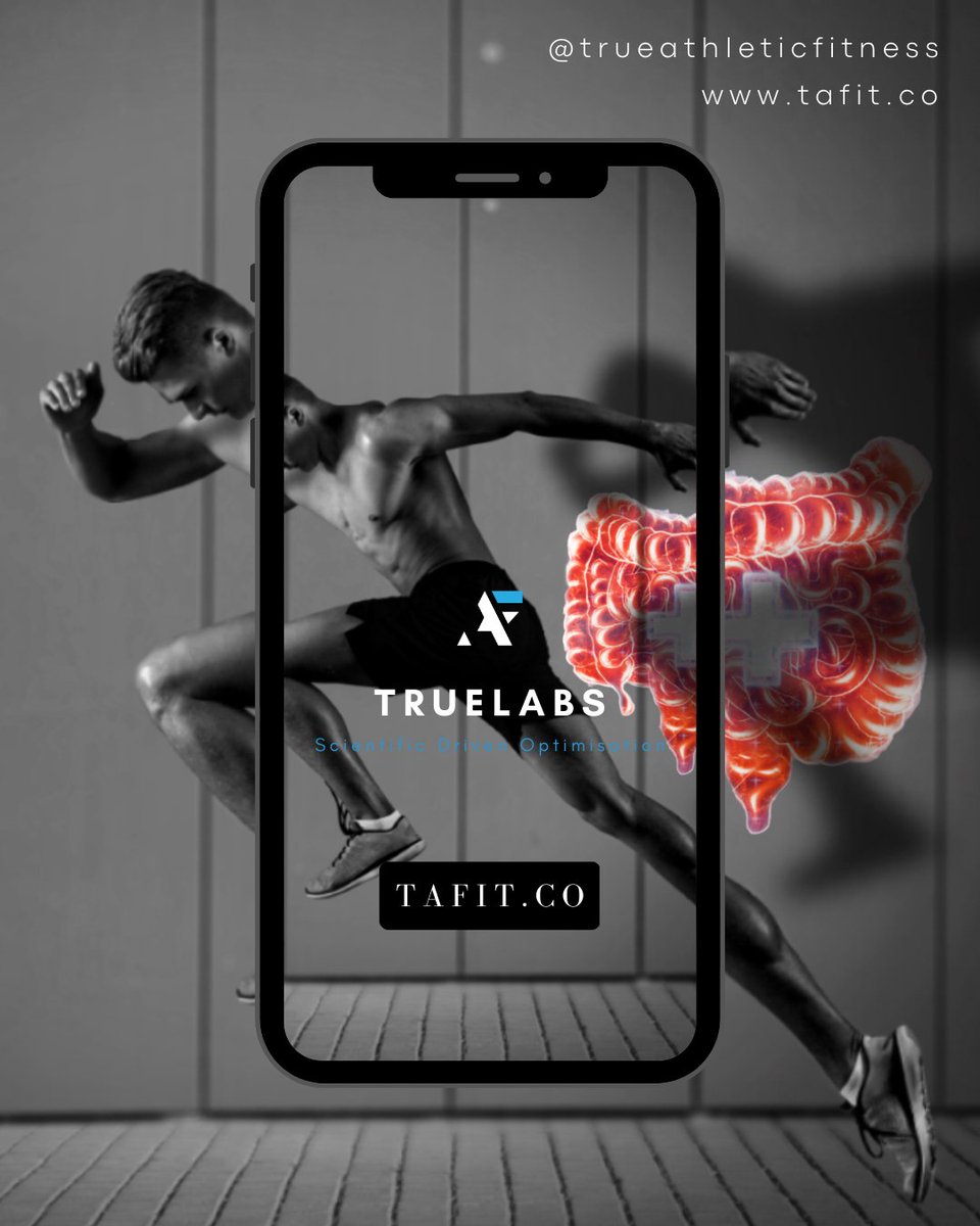 TruAthFit's tweet photo. 🤔 Is gut health essential to peak performance and longevity in sports?

Read the full article here or. link in bio 

https://t.co/WSRD1y1im6

#health #people #nutrition #training #gutbrainaxis #guttesting #forwardthinking #snc #football #rugby #athletes #sportsscience https://t.co/3tIwl9CnE4