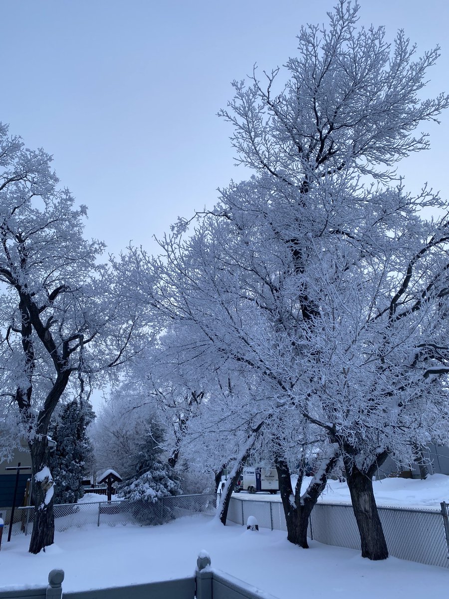 PraireGirlNorth's tweet photo. The #HoarFrost is spectacular this morning.❄️❄️❄️ #Winter #SKweather 🇨🇦 https://t.co/ZHAsG9qTvv