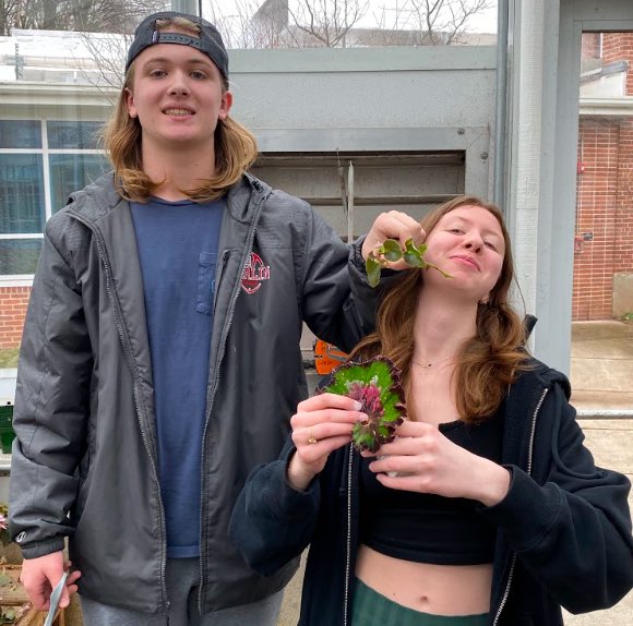 Berlin_Batman's tweet photo. We had a great collaboration between the #horticulture club and art league yesterday! Everyone worked hard to help propagate a new batch of begonias. These cuttings will ultimately be used in a cross curricular project…stay tuned! 🌱🎨 https://t.co/jHGQteq2LT