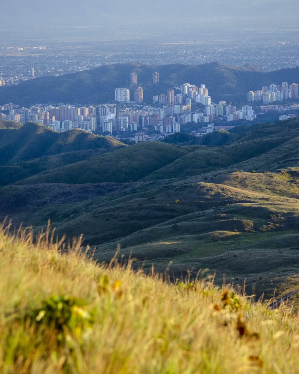 fecollins's tweet photo. El 2 de enero fuí al cerro el café con mi cámara, acá algunas fotos: https://t.co/9HislI3CHX