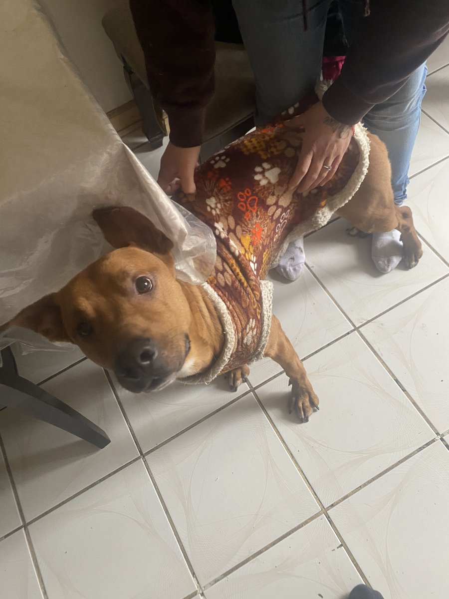 Carlos_C921's tweet photo. Everyone thank you soo much we just found him! He safe an sound at home again! We really appreciate it! Thank you all From the bottom of our family heart! Thank you all! 🙏🏾 https://t.co/clYmLHTMj2