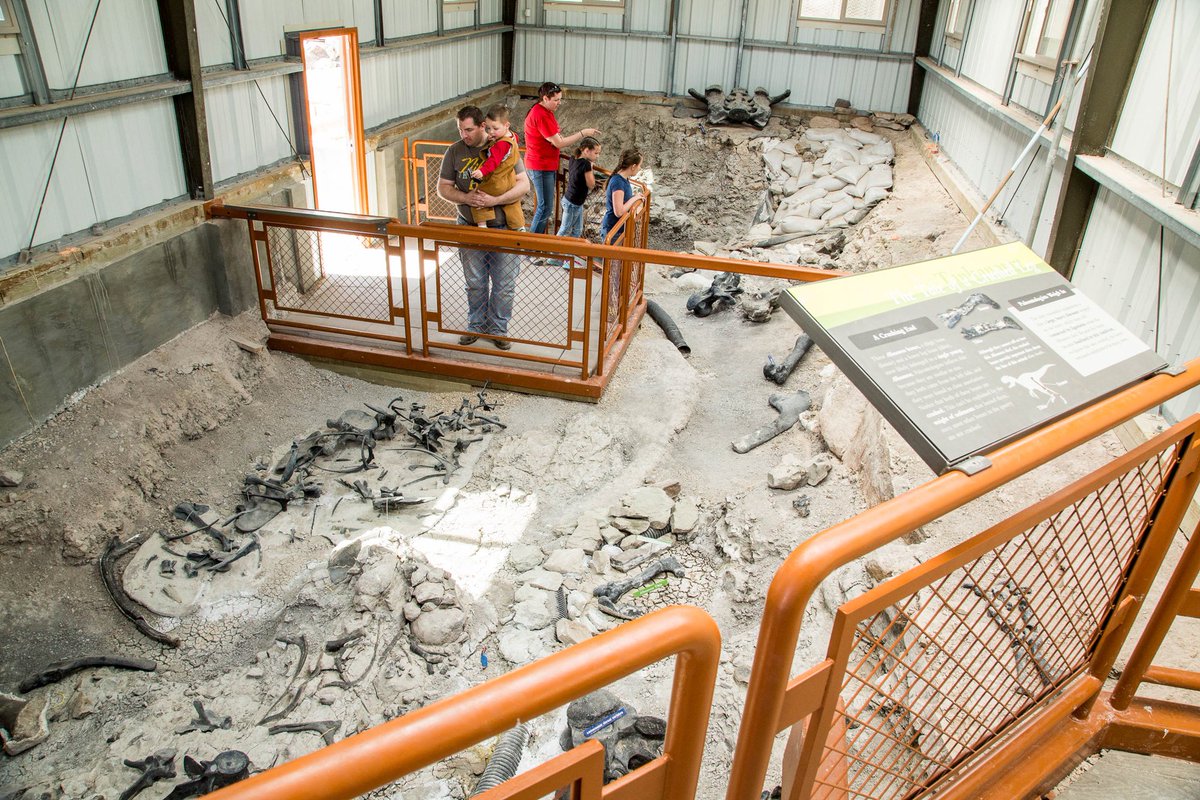 FossilBonanza's tweet photo. When reconstructing ancient habitats, it's important to look at the burial conditions. Not only can rocks tell us environments (e.g. lake vs ocean) but if the animals died and buried on site or were transported before burial.
#HabitatWeek #Paleontology https://t.co/GKFuHRVwQA
