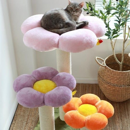 softness daily on Twitter "flower cat post 🎀"