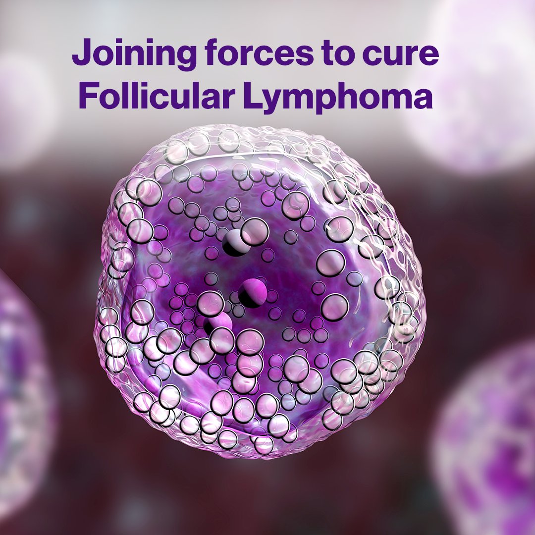 Follicular Lymphoma Foundation tweet media