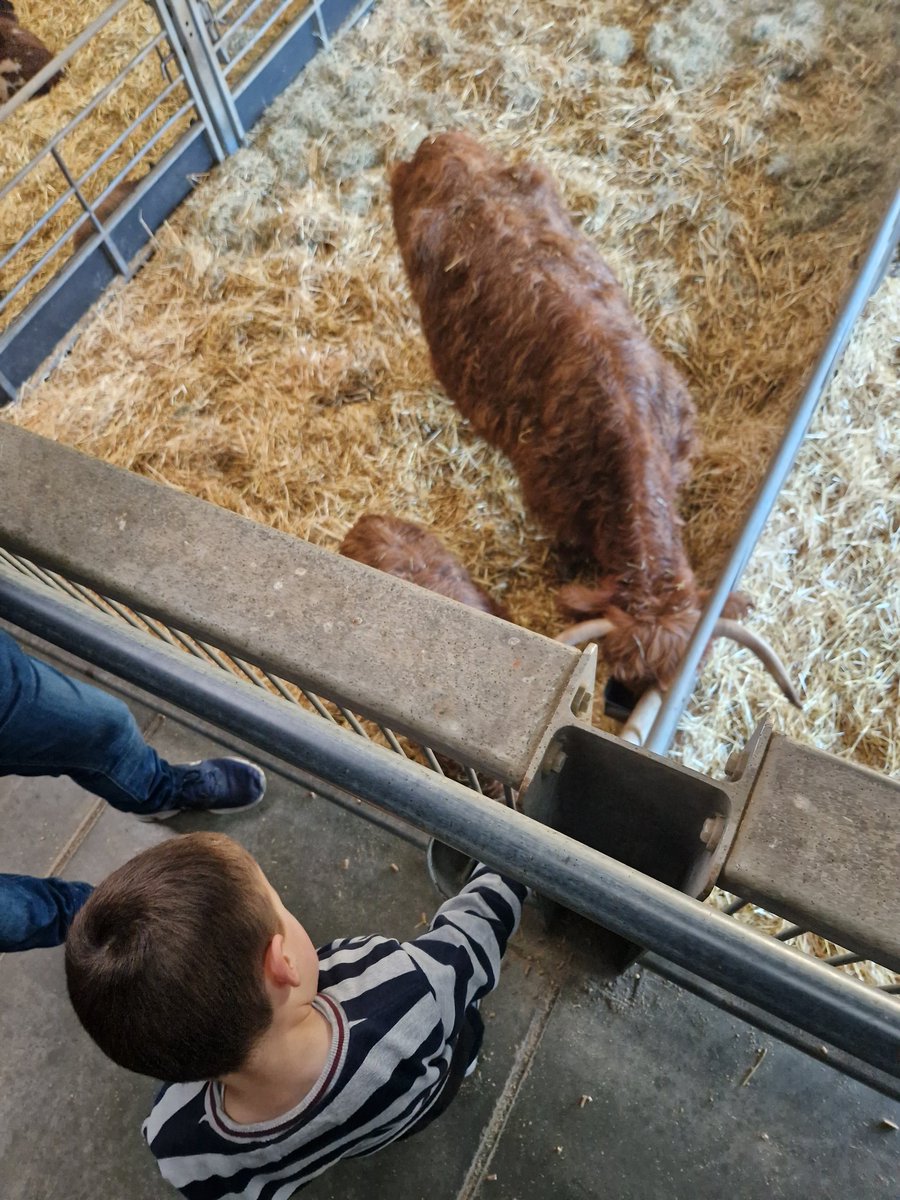 Jason Ward tweet media