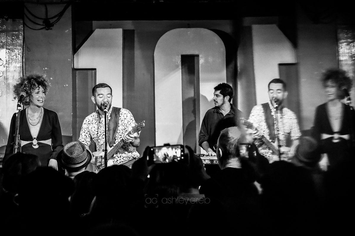 ashleygrebphoto's tweet photo. Reflections

#nickcorbin #emmanoble #thehangups #hangups #thebigac #bigac #bigacrecords #soulrevue #the100club #100clublondon #london #livemusic #soul #funk #photography https://t.co/EqZfIGY2Qc