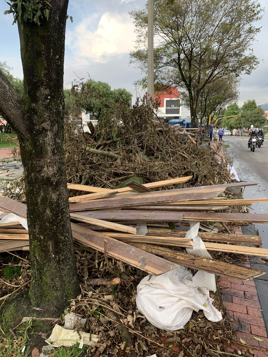 alejacaico's tweet photo. No se sabe si esta poda la hizo el @JBotanicoBogota o Pro Ambiental, pero al no llevarse los residuos, los vecinos lo han convertido en botadero de escombros @LasernaBogota @alcaldiausaquen @100En1DiaBogota Parque Molinos, 106 con 15 https://t.co/qnZuC4pDIH