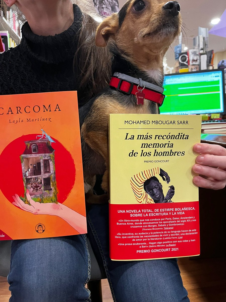 LaLibredeBarrio's tweet photo. Todavía tenemos un montón de #librazos y Trostsky 🐶 nos ha mandado recomendaciones.¡Pásate! que estamos de guardia hasta las 21:00 por si algún paje necesita ayuda📚😊 https://t.co/skugyhYnHs