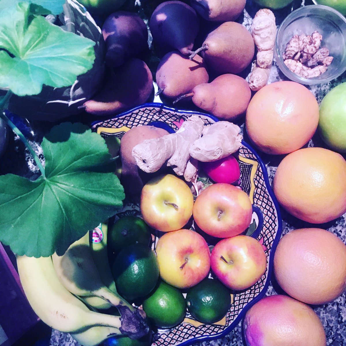 Jody_Bodnar's tweet photo. Prep work! I’m starting a good detox on Saturday! 21 days of a frugivore life. Lots of juicing! I’m pumped. It’s going to be great 😊🍇🍒🍏🍊🍋
#frugivore #plantbased #juicing #juicyjods #cleansing #cleanbody #Immunity #mybodyismytemple #detox #fruitsbasket #eatlife #rawfood https://t.co/EhhpA4wlPc
