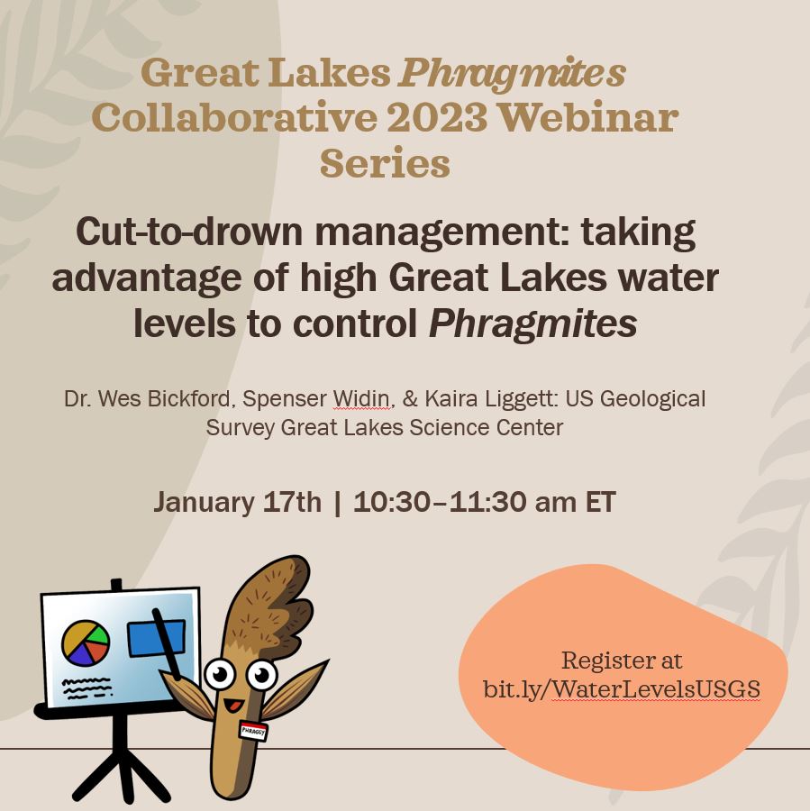 GLPhrag's tweet photo. Join us for our first webinar of the year! Don’t miss this opportunity to learn more about new work utilizing the cut-to-drown method in the Great Lakes.
Register: https://t.co/5nsDdjh24l or link in bio->webinars to register and view past webinars. #GLPhrag #invasivespecies https://t.co/VfjhKJoAUH