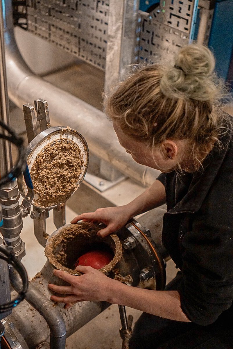 Cotswoldistill's tweet photo. New year, new mash! 

Our distillers have been busy in the new whisky distillery this week 🌿

Once we have finished mashing the distillers clean out the barley ‘draff’ ready for the next one…. it’s a hands on job! https://t.co/XEkVl9v5Z1