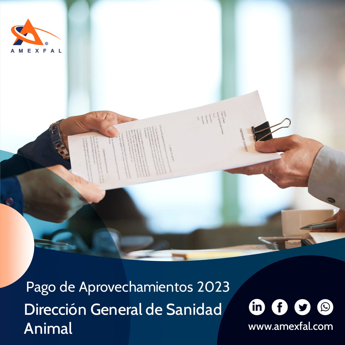 Consulta los Pagos de Derechos y Aprovechamientos para el ejercicio 2023 por parte de la Dirección General de Sanidad Animal.

📌 Leer nota completa: bit.ly/3CtjoyC

#pecuario #acuicultura #SanidadAnimal #SENASICA #consumoanimal