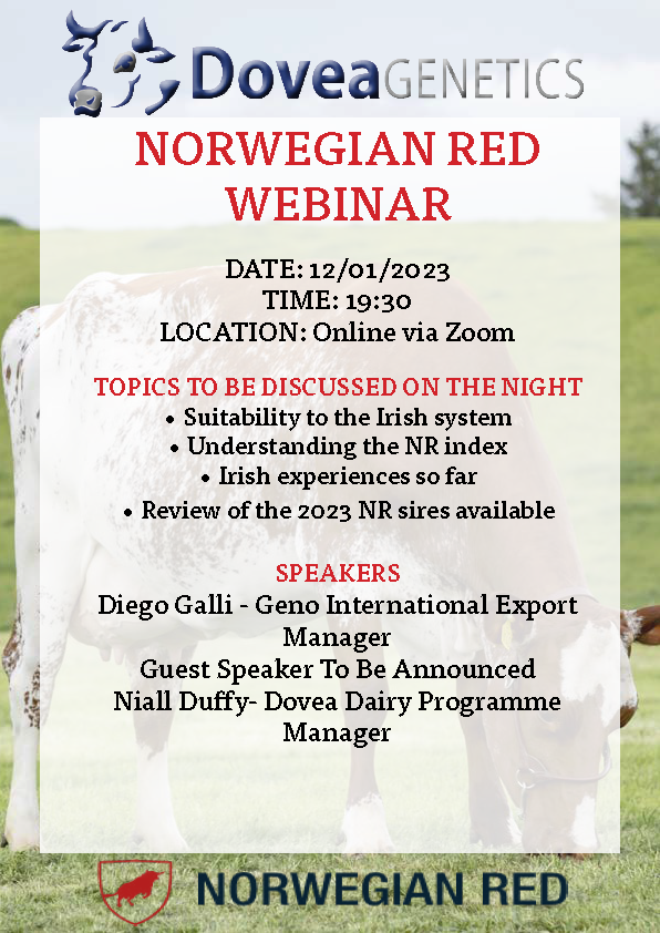 doveagenetics's tweet photo. One week to go to our Norwegian Red Webinar hosted by Dovea Genetics. Speakers include Dovea's Dairy Programme manager Niall Duffy &amp; Diego Galli the international export manager for Geno Norwegian Red. The event will be run via zoom link below on the 12th of January at 19:30 https://t.co/iob3WHM5bQ