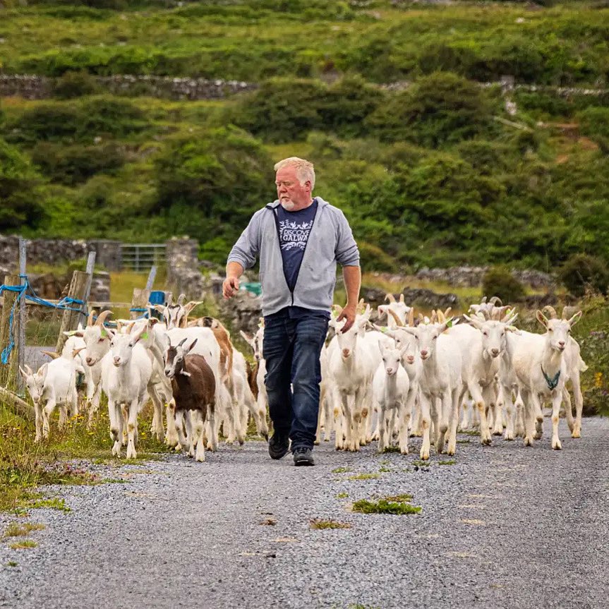 𝗚𝗮𝗹𝘄𝗮𝘆 𝗧𝗼𝘂𝗿𝗶𝘀𝗺 tweet media