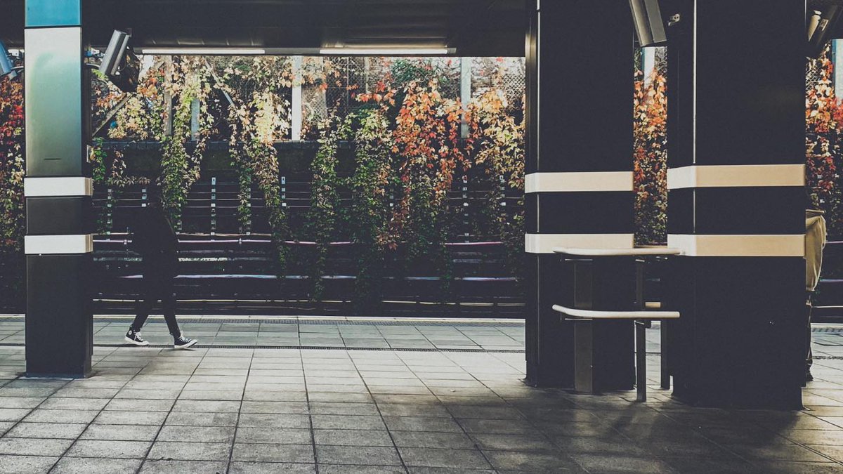 im_jdasilva's tweet photo. Urban Jungle!
)(|)(
#streetphotography #urbanphotography #lines #streets #travelphotography #art
#streetphoto #vision #streetscape #streetshooting https://t.co/bETZXtyH4F https://t.co/Hulpy1M4aI