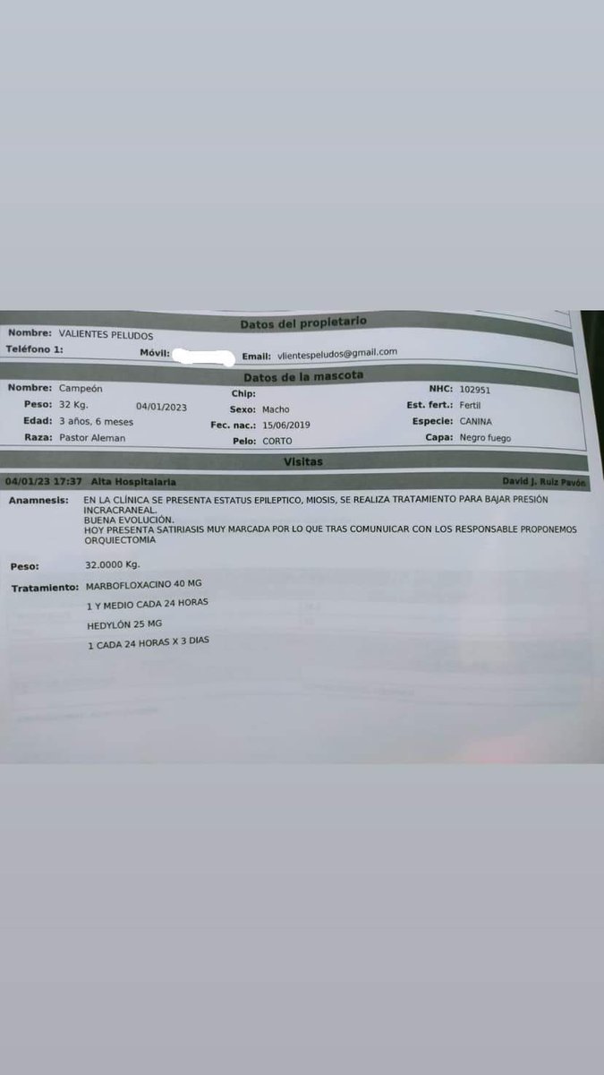 ValientesAsoc's tweet photo. A casa, Campeón💪🏼

Hoy le han dado el alta a Campeón y ha sido llevado a residencia (150€/mes). Ha sido además castrado. Negativo en LH y otras enfermedades.

Peso: 32kg
Edad: 3 años y medio 
Raza: mix pastor alemán https://t.co/9TNiNAhwSh