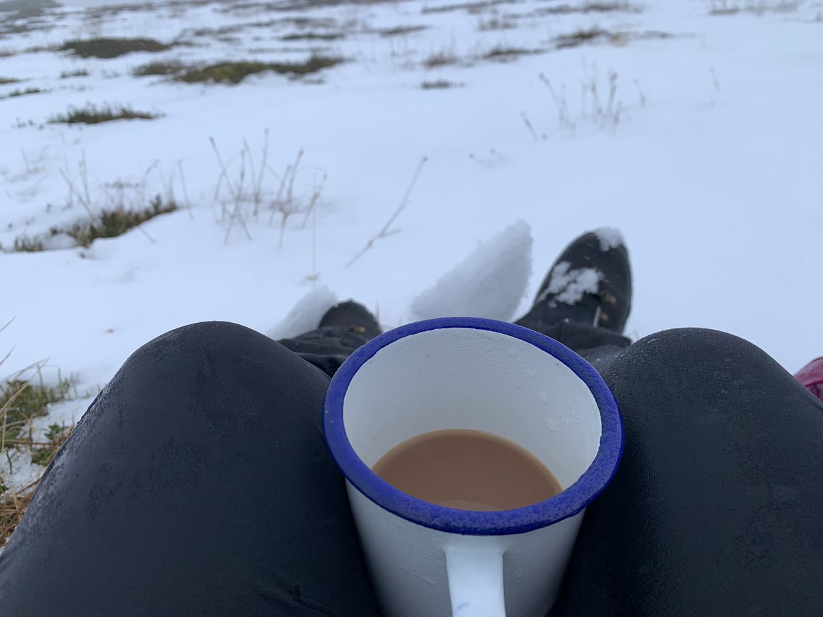 fleurrbie's tweet photo. Thursday 5th Jan. A fairly typical Scottish hill day in winter.. ❄️
In the Angus glens …attempting to track and photograph mountain hares… 🙄
Clag down and visibility rubbish.. trying to keep camera dry..
Only now am I thawing out .. #HotBath #BorderTerrierCuddles #MugsofTea ♥️ https://t.co/bBei2mK61S