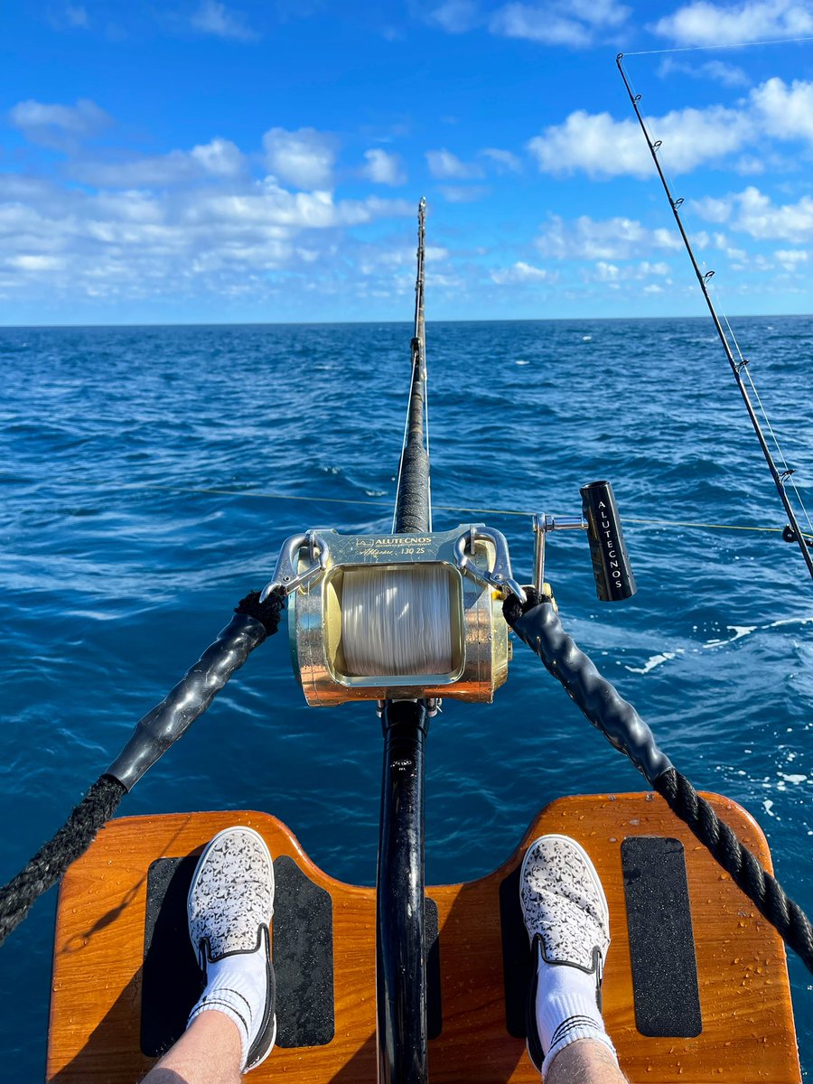 JeremyXWagner's tweet photo. Todays POV.
Thank you, @TheRealMarkTheShark
.
.
#MarkTheShark #Shark #Fishing #Sharkin #ImTalkinAboutSharkin #Quint #QuintWagner #Jaws https://t.co/3qtCtNha1T