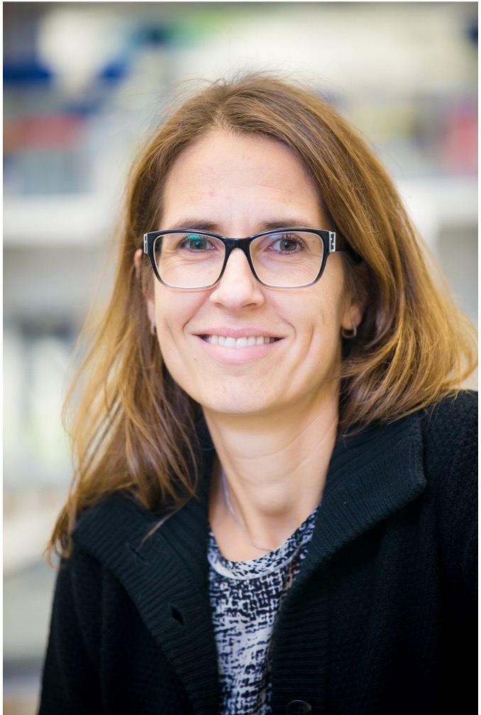 Congrats to the 2023 BMES CMBE Momentum Award Recipient Professor Claudia Fischbach-Teschil @fischbcl17 @CornellBME This Award recognizes a mid-career stage scientist who has made a substantial impact on their field that is related to cellular & molecular bioengineering.