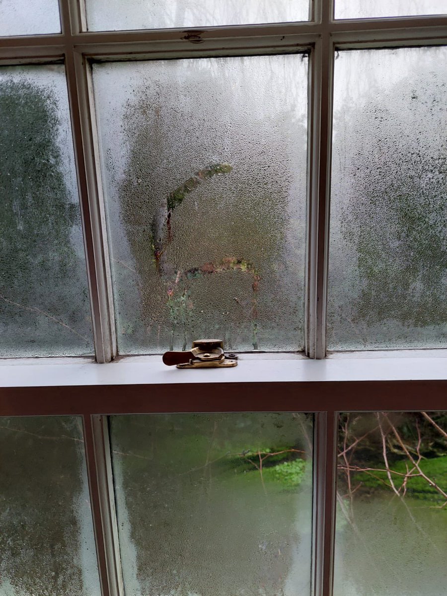 Rosaleen tweet media