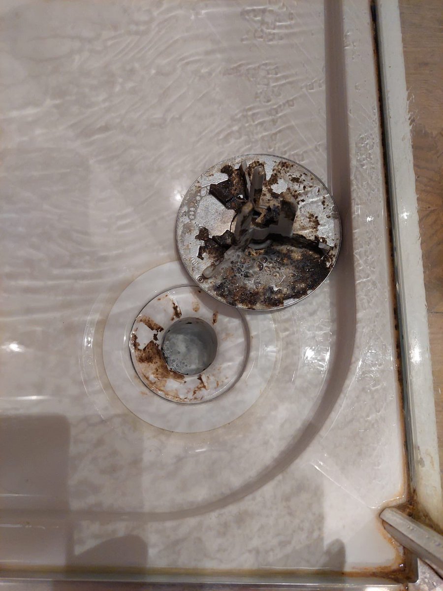 Rosaleen tweet media