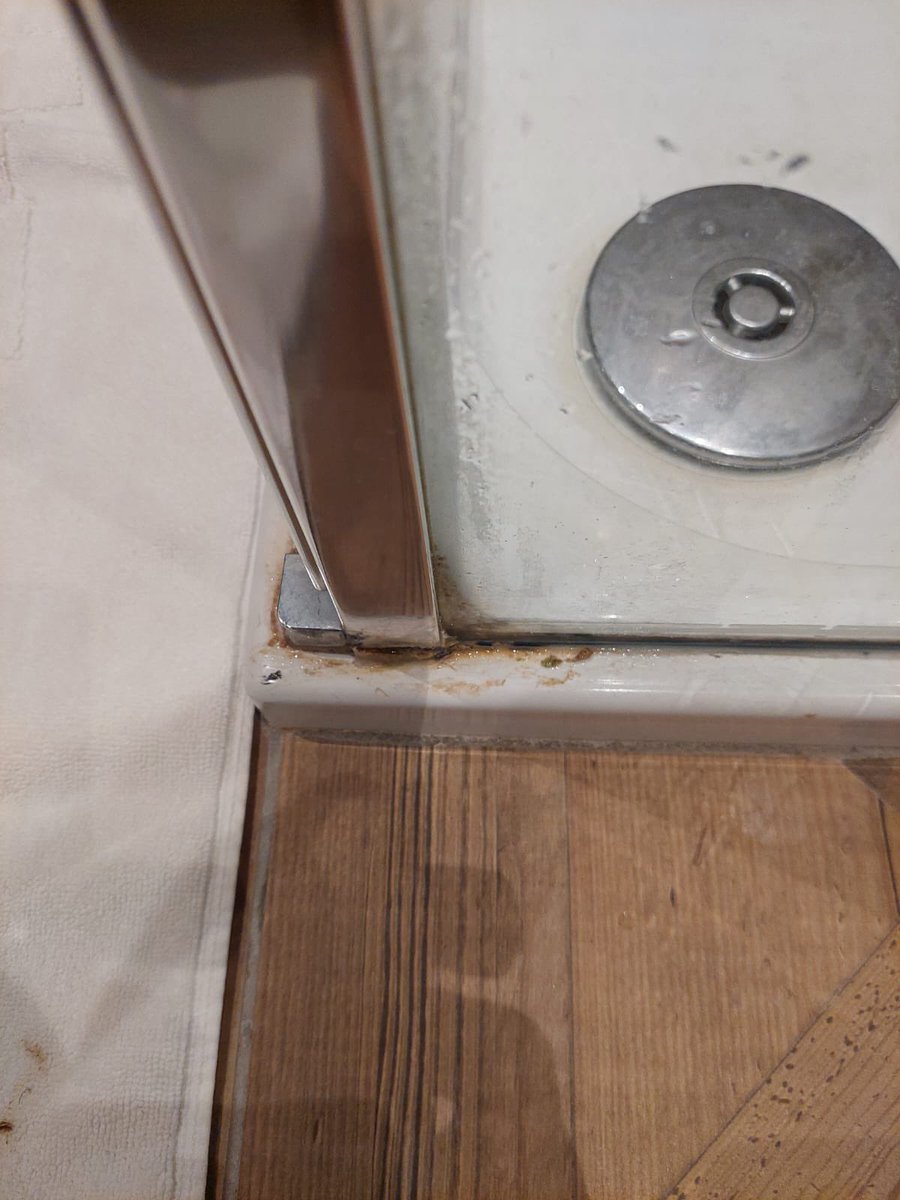 Rosaleen tweet media