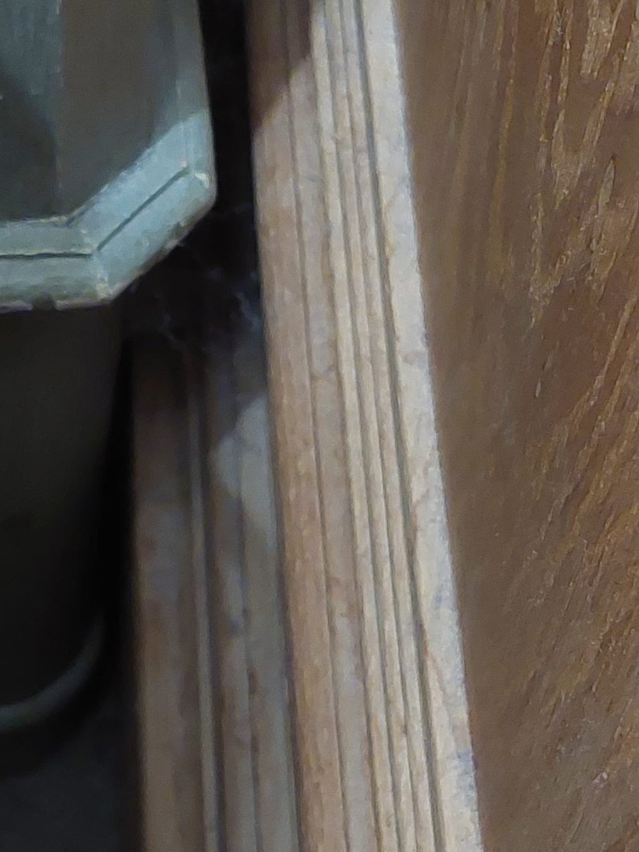 Rosaleen tweet media