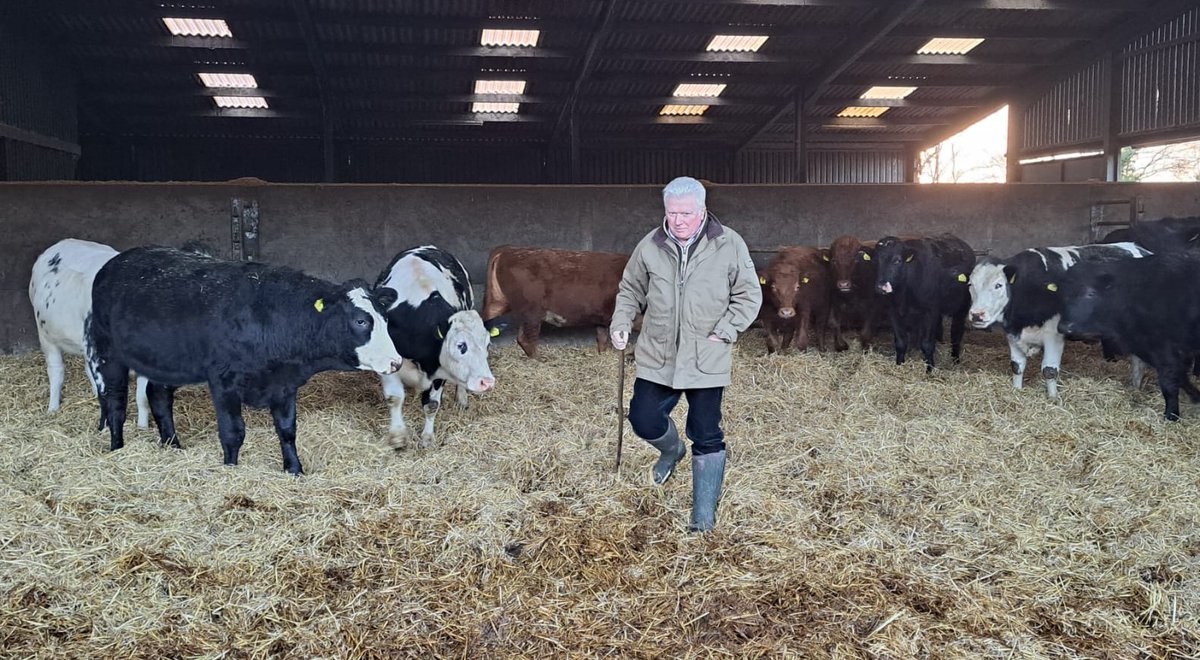 PJLLtd's tweet photo. Happy New Year
Business is busy as we hit the ground running at the start of 2023
#livestockmarketing  #livestocktrading #Britishbeef #buybritish #freshstrawfreshstart https://t.co/0Zu8z8FWx2