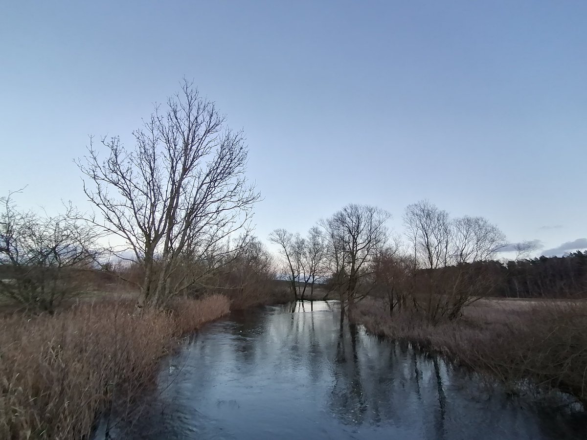 magicderek's tweet image. Today's walk