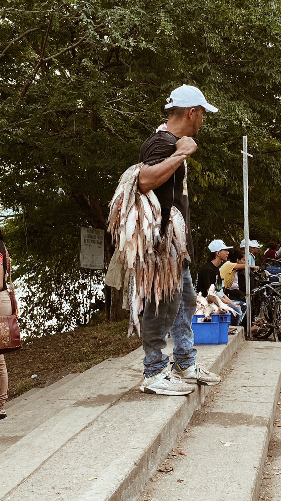Kikaalzate's tweet image. Por estos días, 
Esta tierra está siendo bendecida 

Subienda 
La Dorada - Caldas