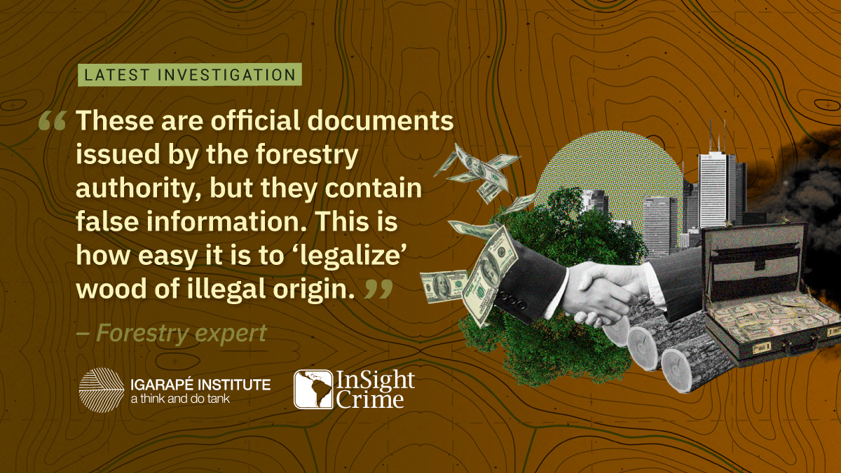 InSightCrime's tweet photo. #InSightFiles2022 | Corruption occurs at all stages of the timber supply chain, from local police, to forestry officials and high-level politicians.
Read #StolenAmazon here ➡️ https://t.co/GUXkngZxN9 https://t.co/QTVegK16Nn