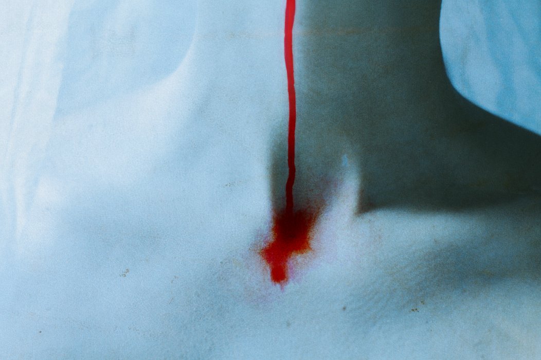 Bárbara Bezina tweet media