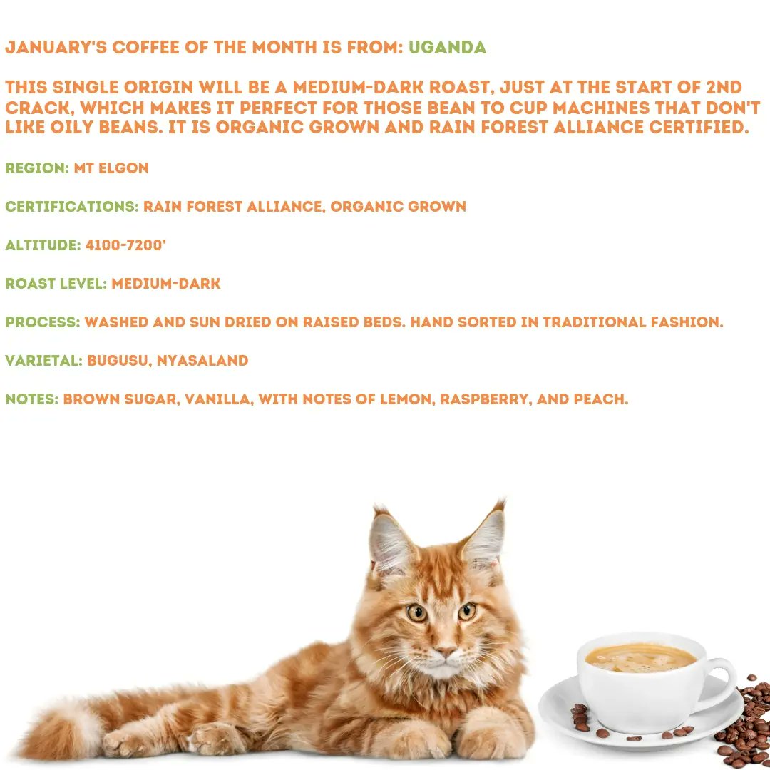 tabbycatcoffeec's tweet photo. ☕️🌏 Enjoy a new special coffee every month, with our coffee of the month club! Save 5% when you subscribe (or you can pay full price if you don't want to subscribe)!
#sipcoffeehelpcats #CoffeeWithAPurrpose #coffeeonlineshop #fipsucks #specialtycoffees #singleorigincoffee https://t.co/yG0dMD4ppw