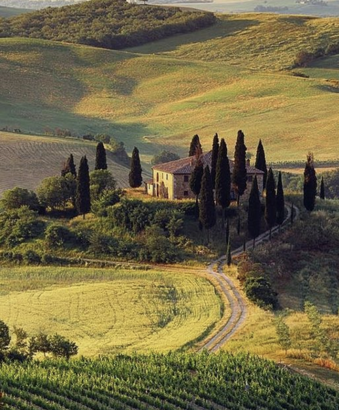 the urge to build a house in the tuscan hills.

buy a few cows, goats and chickens.

get married.

have some babies.

get rid of my phone.

read books.

sip on goat milk, eat some cheese, maybe a little handmade wine.

live a quiet, low key life surrounded by nature and family.