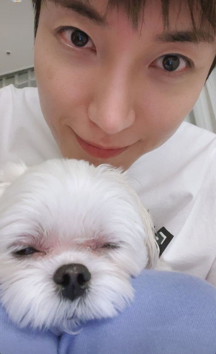 TeukiesDuckling's tweet image. Pet parents having some quality time with their babies on this beautiful #ELFSelcaDay 🥺🤍

🐶 Daddy's girl 🤍 &amp;amp; 🐱 Mommy's boy 🤍 as special guests on this selca day~

{@special1004 @SJofficial #LEETEUK #SUPERJUNIOR}