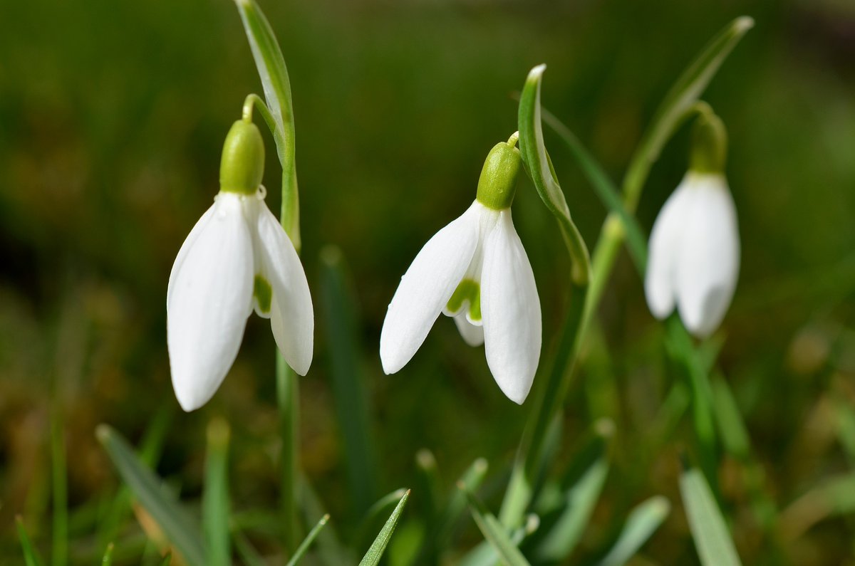 uywellbeing1's tweet photo. It's here!
Our January "Wellbeing Wisdom" newsletter has just been published. Time for you to grab that cuppa, feet up and have a read
https://t.co/TJqmsiC0N9
#wellbeing #wellbeingatwork https://t.co/8jdkdcJze3
