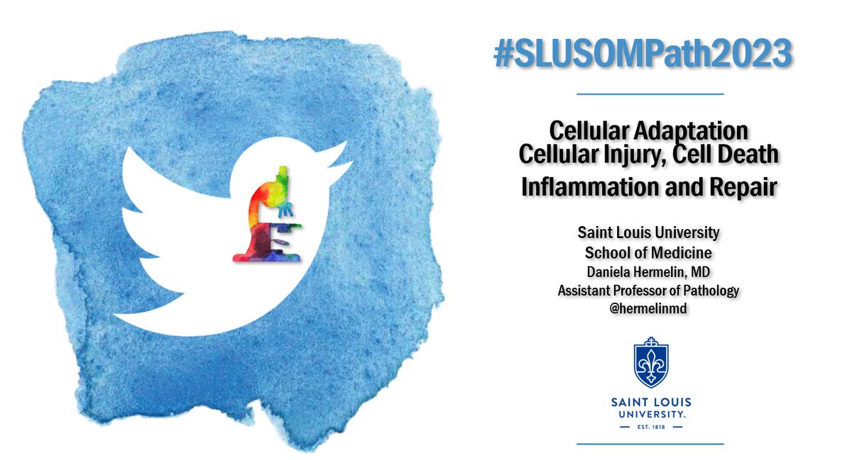 HermelinMD's tweet photo. #SLUSOMPath2023
😀Congratulations on almost completing your first week of Introduction to Pathology.  
Let's review some of the concepts you learned on Cell Injury, Adaption, Death + Injury and Repair while we  study for the exam.
Follow the #Tweetorial below. https://t.co/6Uvy52MJJa