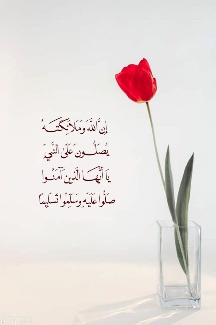 iMmmq3's tweet photo. "اللهمَ،صَلِّ،وَسَـــلِّم وَبَـارِك على نَبِيِّنَـــا مُـحـمَـد"
#طيب_أثرك
#حلم_الأميرات_للدعم 
#ليلة_الجمعة https://t.co/HbGtrbEGvH