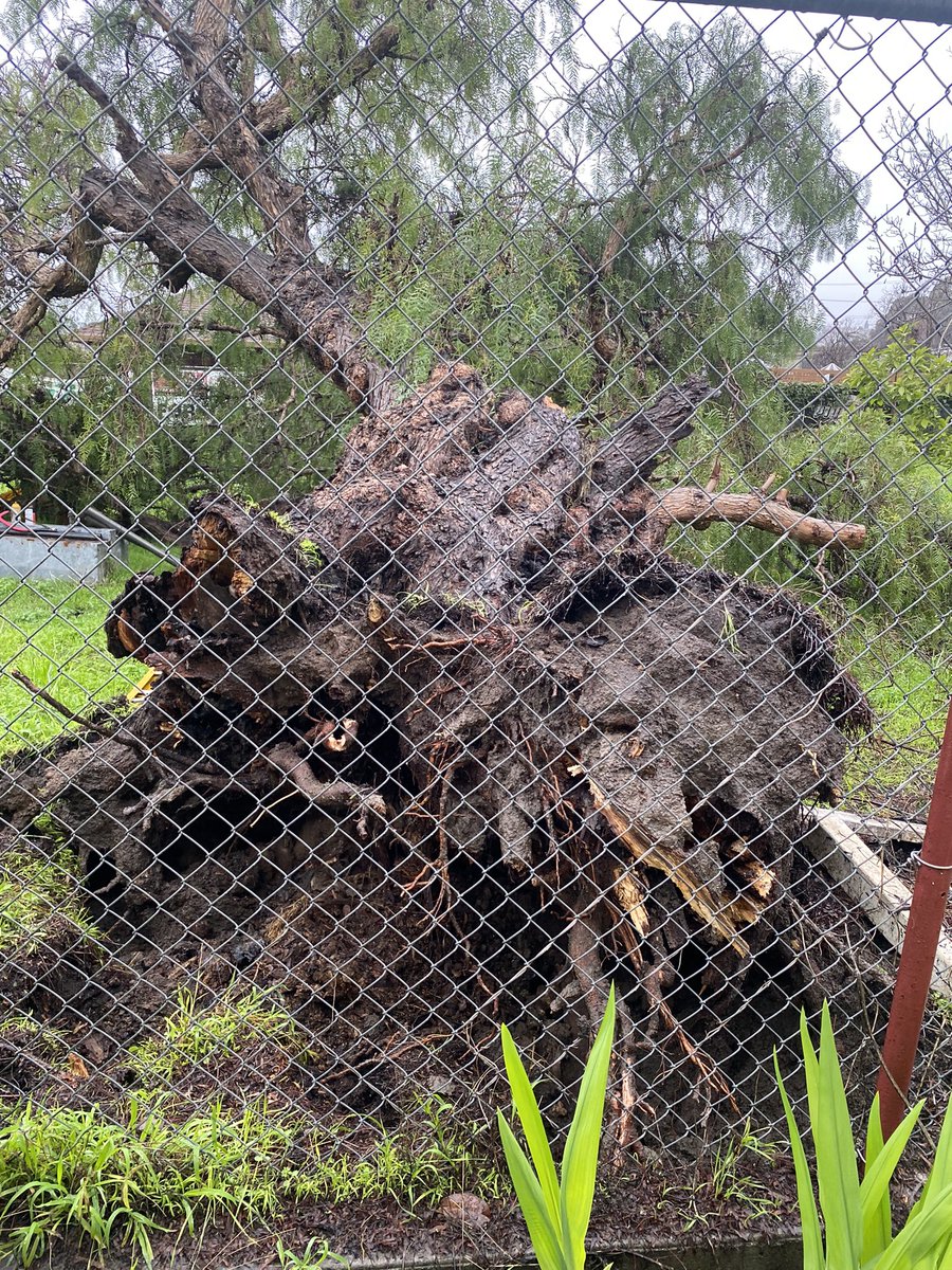 I guess it was a little windy. Thanks for not landing on my bedroom!