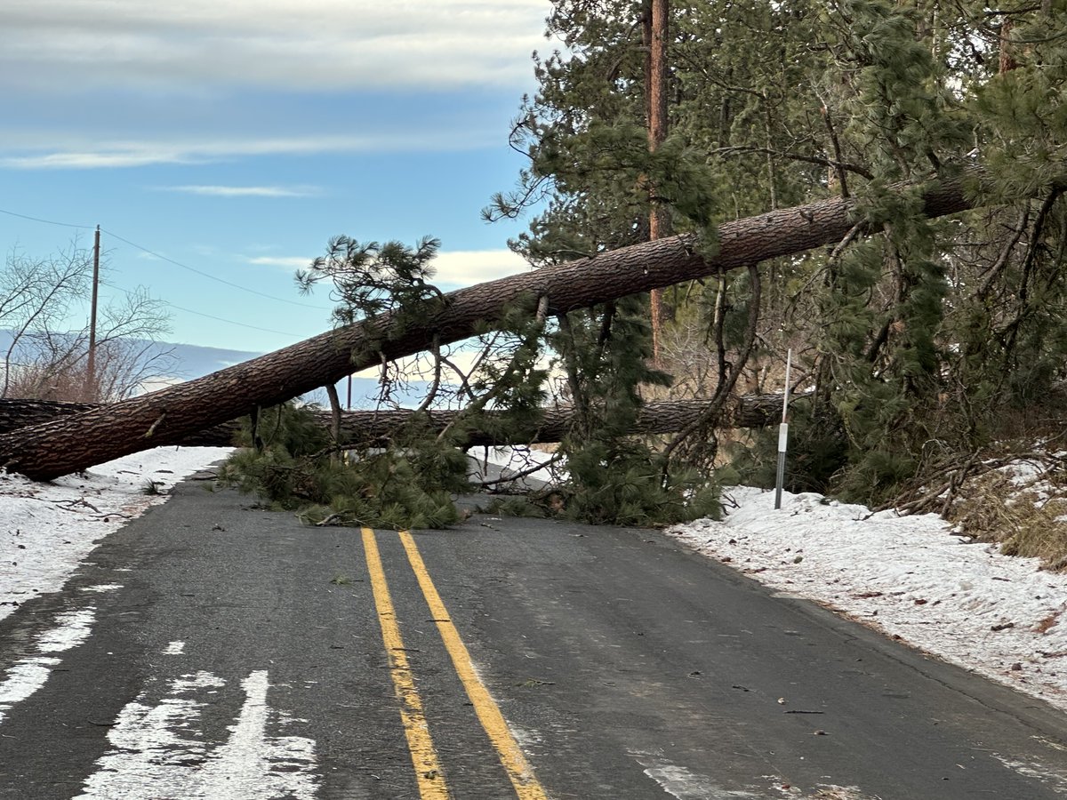 OregonDOT's tweet photo. Old US 30 is closed west of #Meacham near MP 228 due to a down tree across the highway. Crews are working to clear the roadway. Use https://t.co/SsqxkwGpZQ for updates. #EasternOR https://t.co/NhNUDcpESq