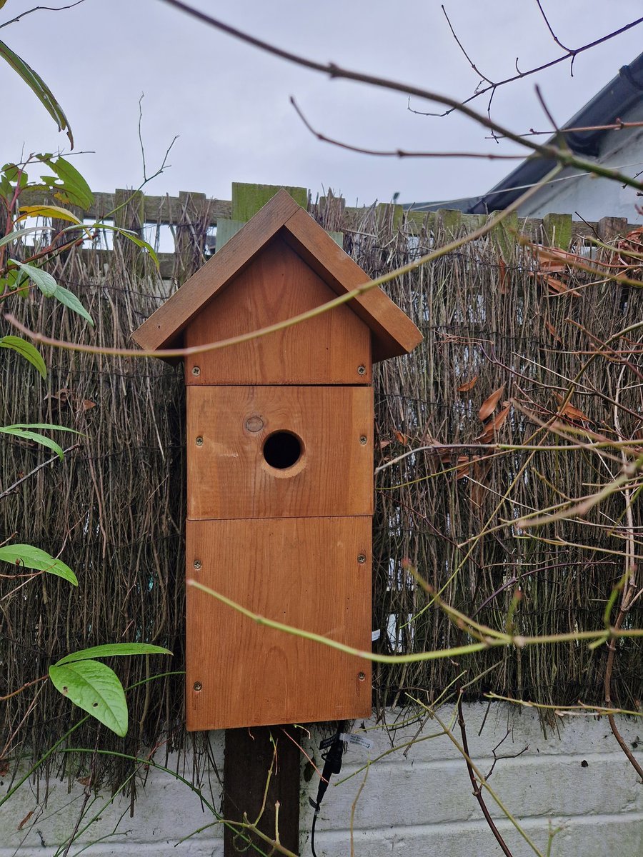 SharonEnv1's tweet photo. Last day of #12DaysWild and we're starting as we mean to go on - our @GreenFeathersUK @ClimateActionNE project nest cam is plugged back in and ready to go. 9 Great Tits succesfully hatched 2022 - now we wait....🙏🐦 #birdsuniteourworld #BirdTwitter #natureproject #birds https://t.co/ROKJ4ybMRT