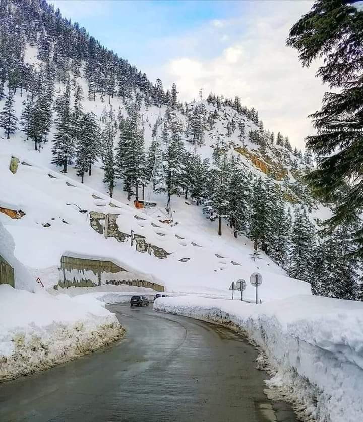 AmjidAnsari's tweet photo. لواری دیر اپر چترال میں برف باری کے خوبصورت مناظر https://t.co/zt0co30OZV